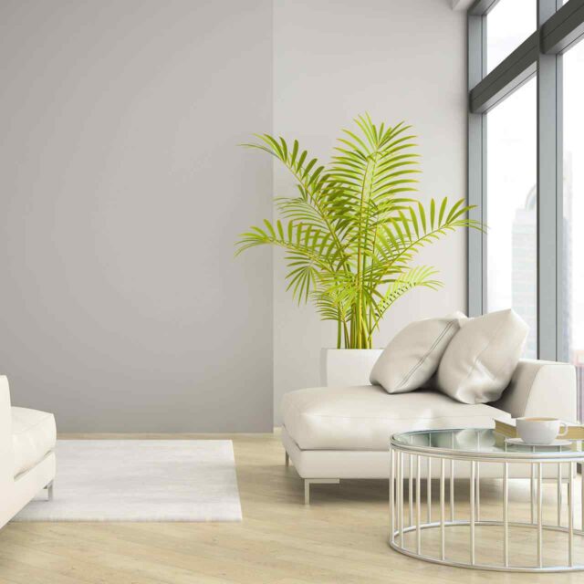 https://izozer.com/wp-content/uploads/2018/09/gallery_projects_08-640x640.jpg